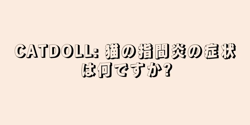 CATDOLL: 猫の指間炎の症状は何ですか?