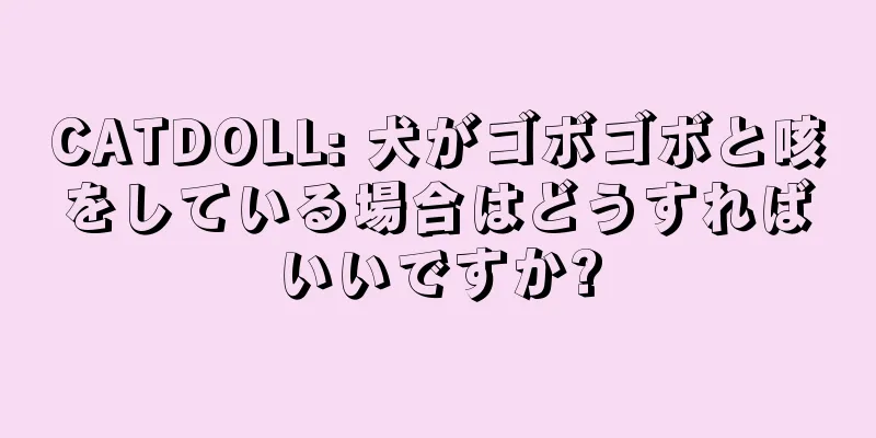 CATDOLL: 犬がゴボゴボと咳をしている場合はどうすればいいですか?