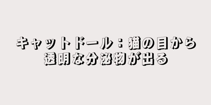 キャットドール：猫の目から透明な分泌物が出る
