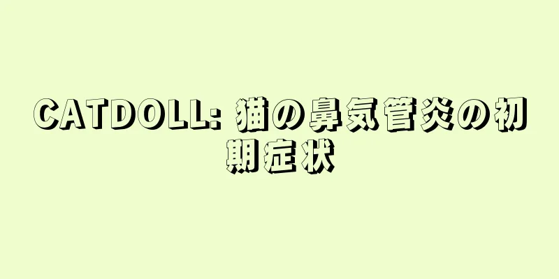 CATDOLL: 猫の鼻気管炎の初期症状