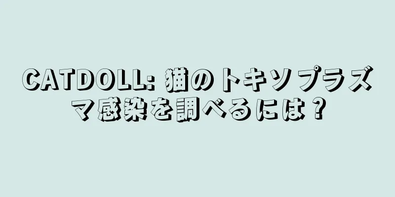 CATDOLL: 猫のトキソプラズマ感染を調べるには？