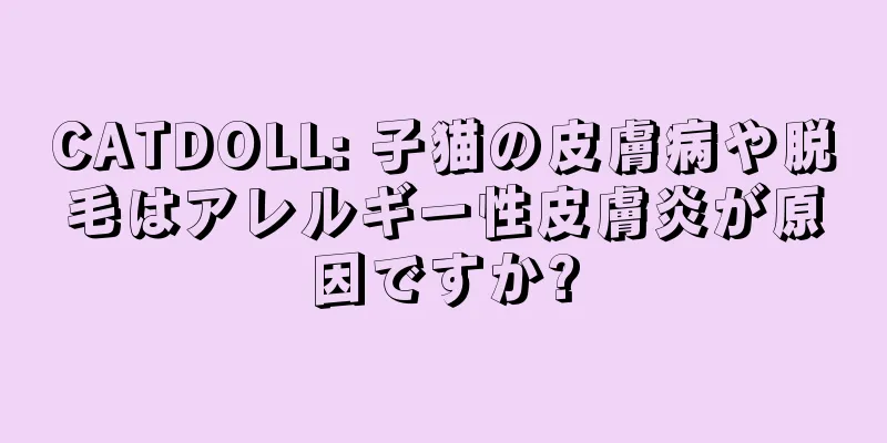CATDOLL: 子猫の皮膚病や脱毛はアレルギー性皮膚炎が原因ですか?