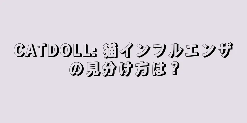 CATDOLL: 猫インフルエンザの見分け方は？