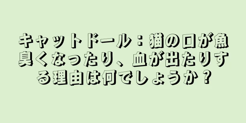 キャットドール：猫の口が魚臭くなったり、血が出たりする理由は何でしょうか？