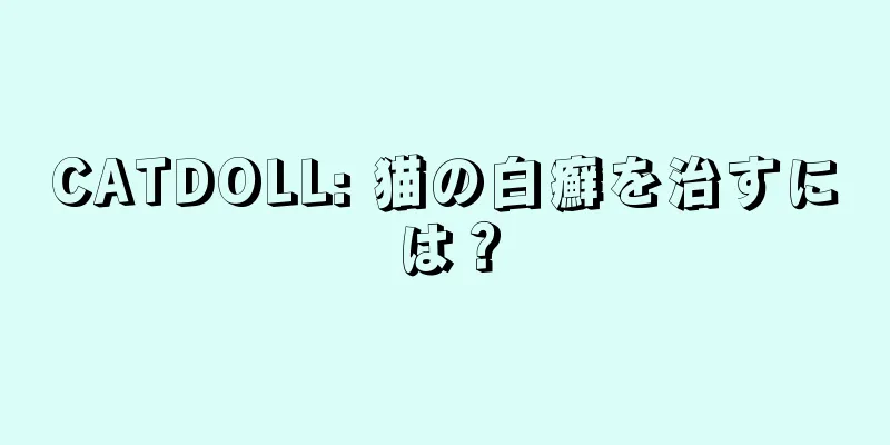 CATDOLL: 猫の白癬を治すには？