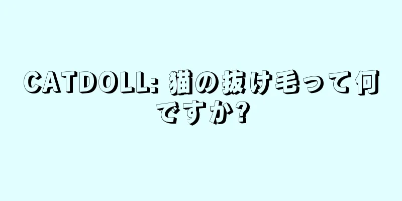 CATDOLL: 猫の抜け毛って何ですか?