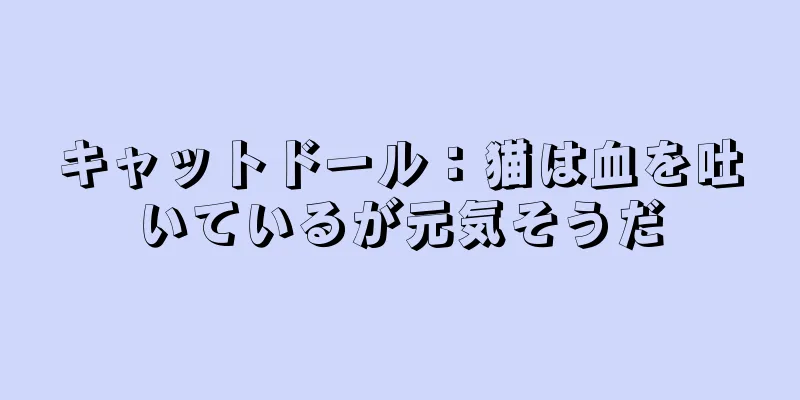 キャットドール：猫は血を吐いているが元気そうだ