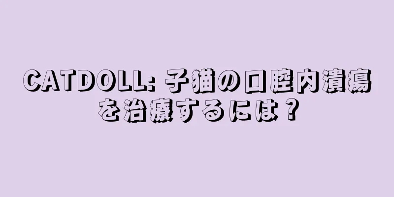 CATDOLL: 子猫の口腔内潰瘍を治療するには？