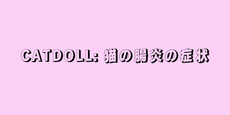 CATDOLL: 猫の腸炎の症状