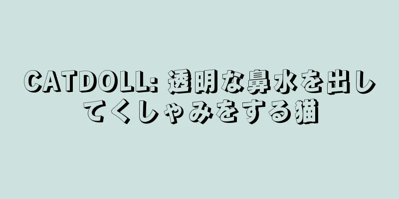 CATDOLL: 透明な鼻水を出してくしゃみをする猫