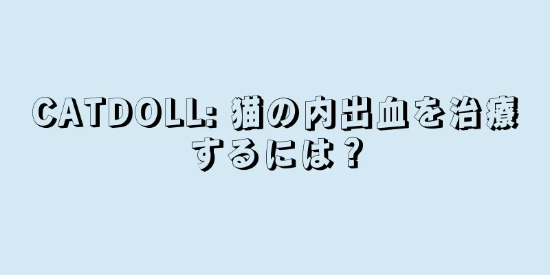 CATDOLL: 猫の内出血を治療するには？