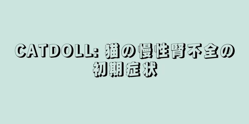 CATDOLL: 猫の慢性腎不全の初期症状