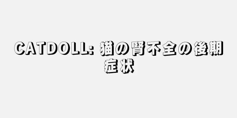 CATDOLL: 猫の腎不全の後期症状
