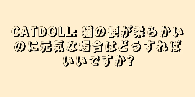 CATDOLL: 猫の便が柔らかいのに元気な場合はどうすればいいですか?