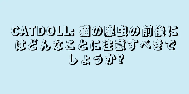 CATDOLL: 猫の駆虫の前後にはどんなことに注意すべきでしょうか?