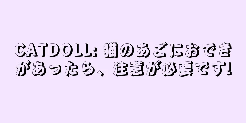 CATDOLL: 猫のあごにおできがあったら、注意が必要です!