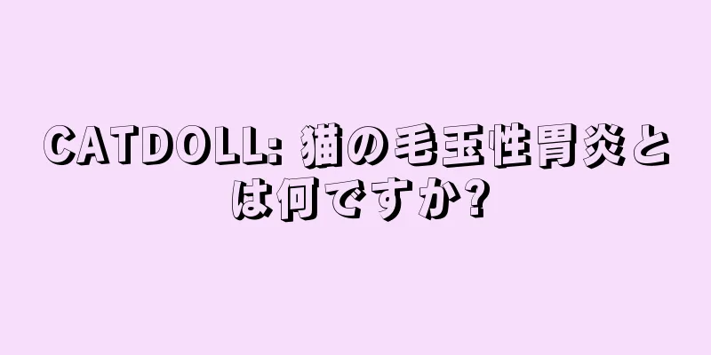 CATDOLL: 猫の毛玉性胃炎とは何ですか?