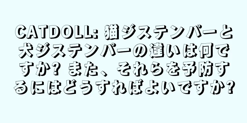 CATDOLL: 猫ジステンパーと犬ジステンパーの違いは何ですか? また、それらを予防するにはどうすればよいですか?