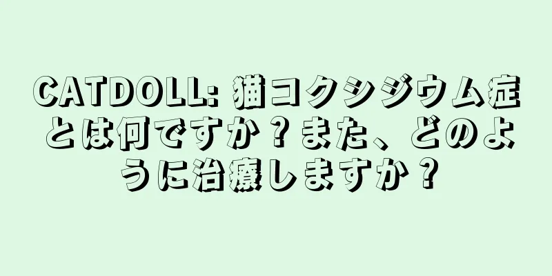 CATDOLL: 猫コクシジウム症とは何ですか？また、どのように治療しますか？