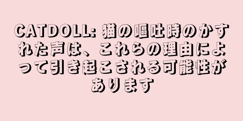 CATDOLL: 猫の嘔吐時のかすれた声は、これらの理由によって引き起こされる可能性があります
