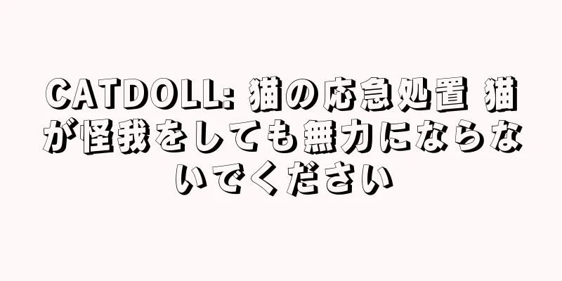CATDOLL: 猫の応急処置 猫が怪我をしても無力にならないでください