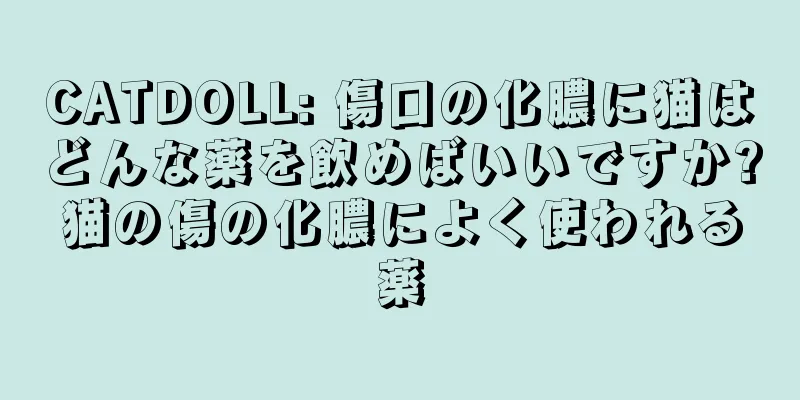 CATDOLL: 傷口の化膿に猫はどんな薬を飲めばいいですか?猫の傷の化膿によく使われる薬