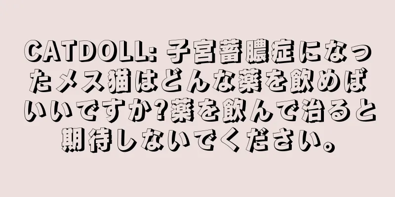 CATDOLL: 子宮蓄膿症になったメス猫はどんな薬を飲めばいいですか?薬を飲んで治ると期待しないでください。