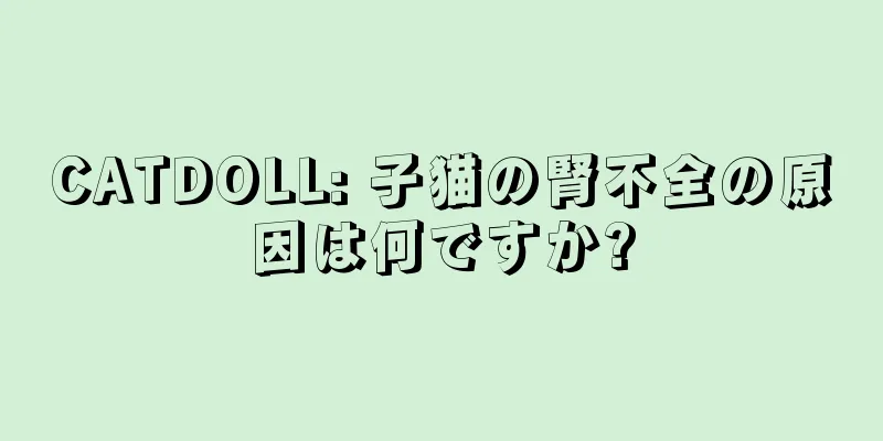 CATDOLL: 子猫の腎不全の原因は何ですか?