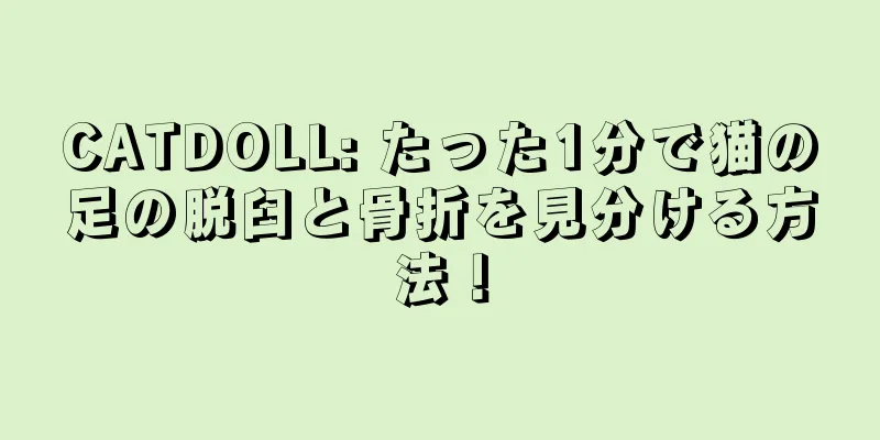 CATDOLL: たった1分で猫の足の脱臼と骨折を見分ける方法！