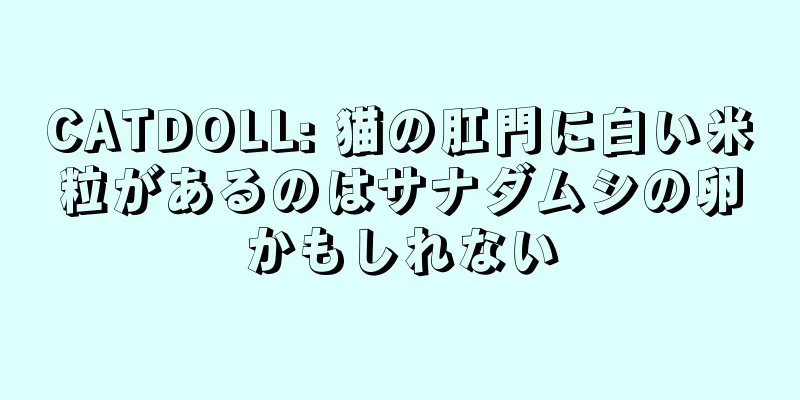 CATDOLL: 猫の肛門に白い米粒があるのはサナダムシの卵かもしれない
