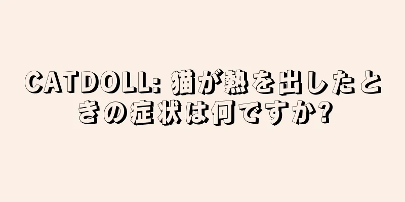 CATDOLL: 猫が熱を出したときの症状は何ですか?