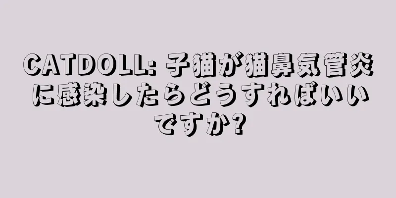 CATDOLL: 子猫が猫鼻気管炎に感染したらどうすればいいですか?