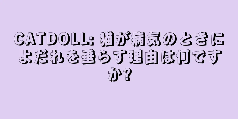 CATDOLL: 猫が病気のときによだれを垂らす理由は何ですか?