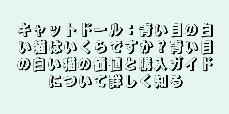 キャットドール：青い目の白い猫はいくらですか？青い目の白い猫の価値と購入ガイドについて詳しく知る