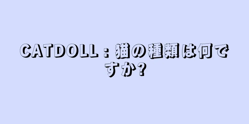 CATDOLL : 猫の種類は何ですか?
