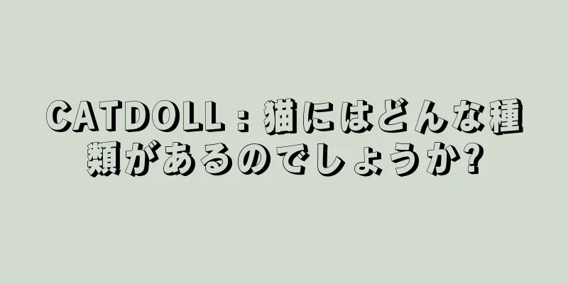 CATDOLL : 猫にはどんな種類があるのでしょうか?