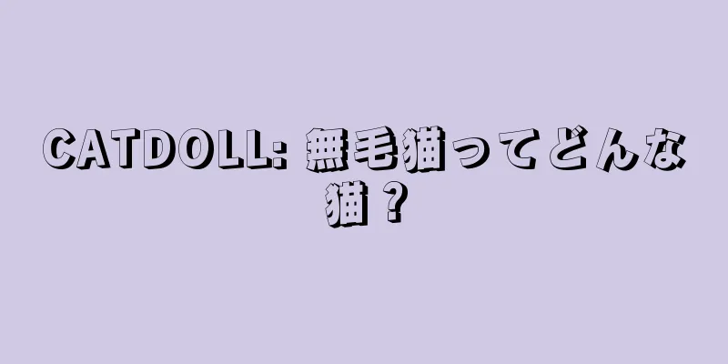 CATDOLL: 無毛猫ってどんな猫？