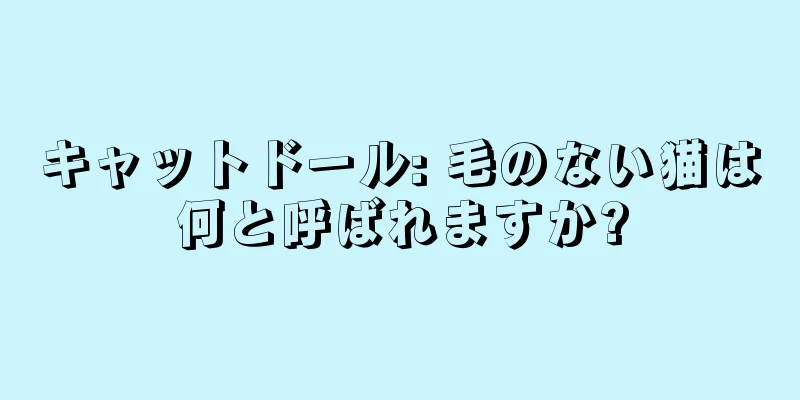キャットドール: 毛のない猫は何と呼ばれますか?