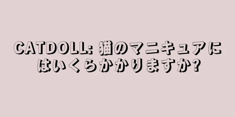 CATDOLL: 猫のマニキュアにはいくらかかりますか?