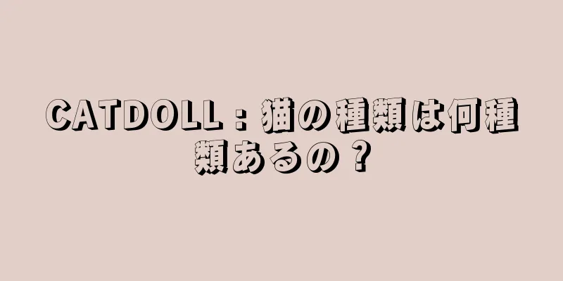 CATDOLL : 猫の種類は何種類あるの？
