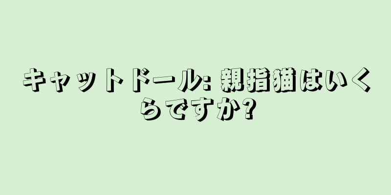 キャットドール: 親指猫はいくらですか?