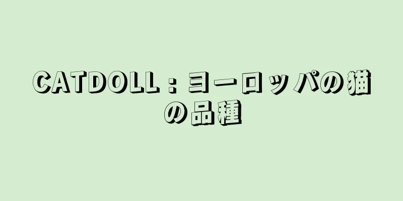 CATDOLL : ヨーロッパの猫の品種