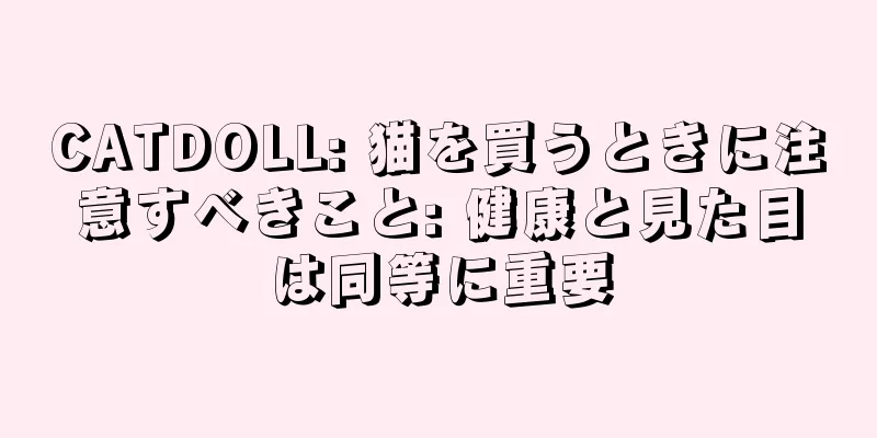 CATDOLL: 猫を買うときに注意すべきこと: 健康と見た目は同等に重要