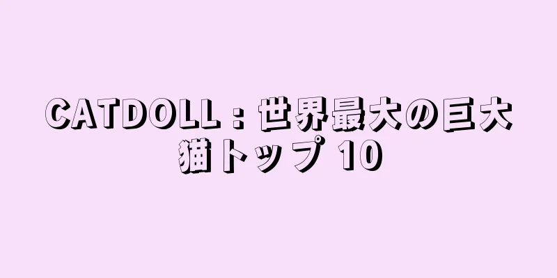 CATDOLL : 世界最大の巨大猫トップ 10