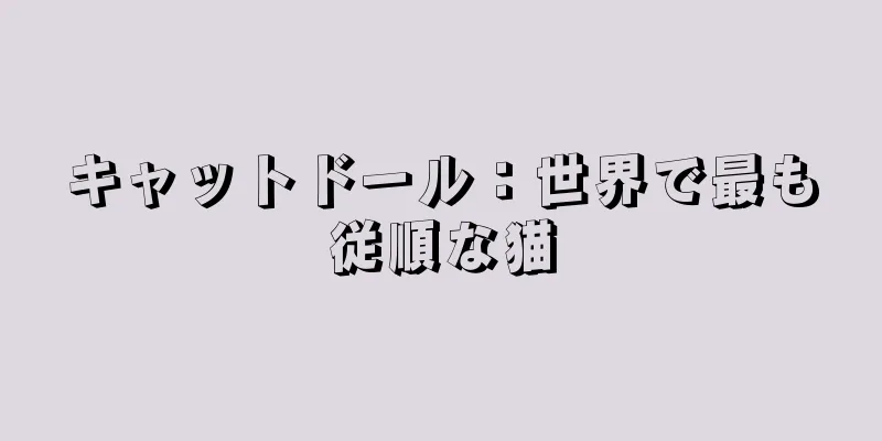 キャットドール：世界で最も従順な猫
