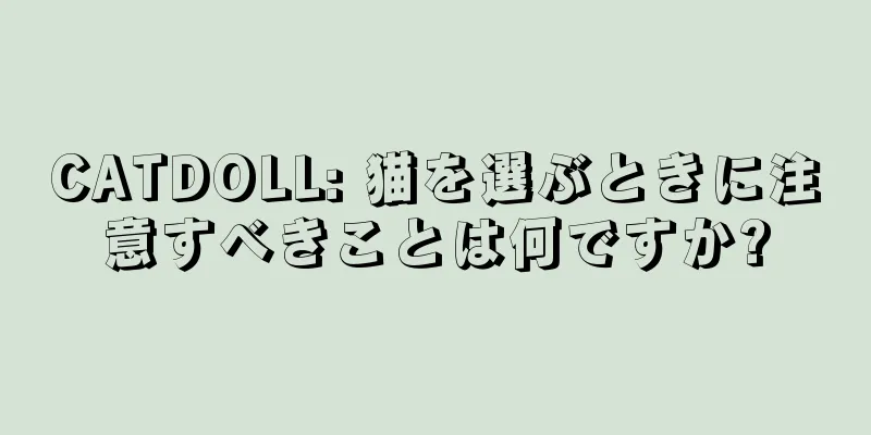 CATDOLL: 猫を選ぶときに注意すべきことは何ですか?