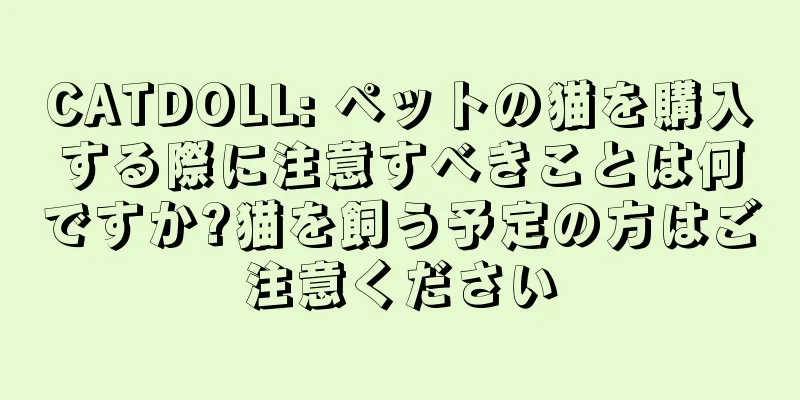 CATDOLL: ペットの猫を購入する際に注意すべきことは何ですか?猫を飼う予定の方はご注意ください