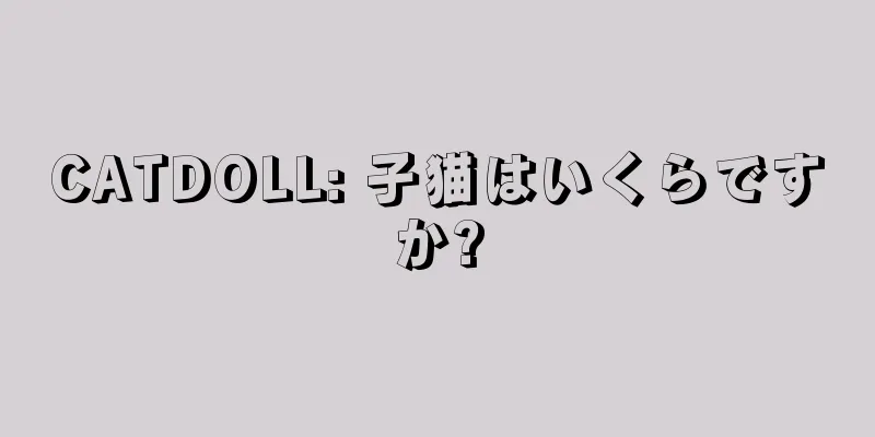 CATDOLL: 子猫はいくらですか?