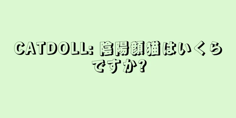 CATDOLL: 陰陽顔猫はいくらですか?