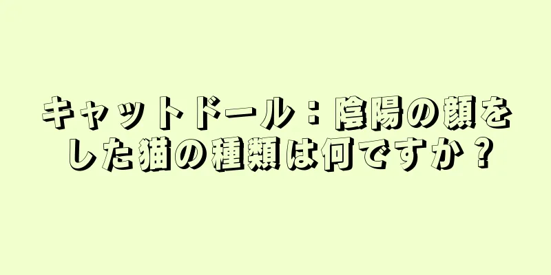 キャットドール：陰陽の顔をした猫の種類は何ですか？